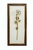 MARCO DE MADERA PEQUEÑO FONDO CREMA CREMA 60cm x 27cm