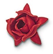 Cruz para combinar con flor roscada 