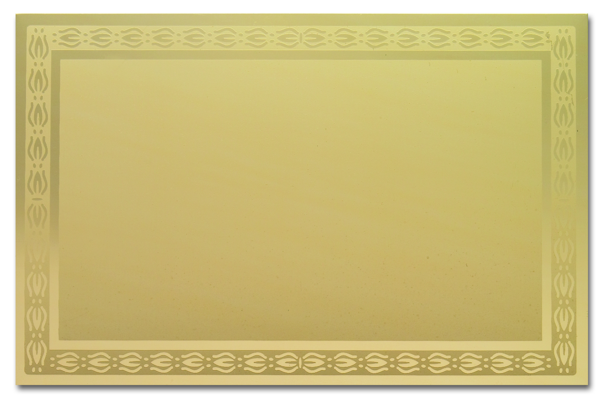 Placa Aluminio Leon, lote de 10 unidades. 