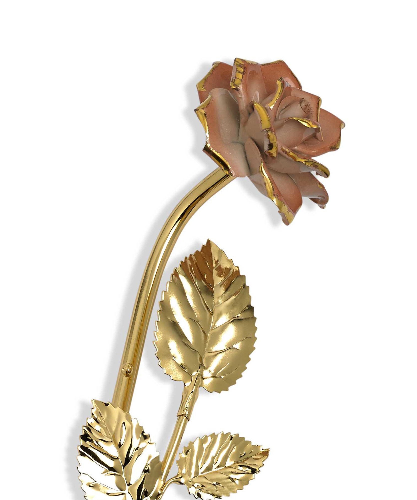 Ramo Rosa flor rosa 