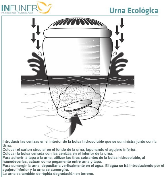 Urna BIODEGRADABLE fabricada artesanalmente CALIDAD SUPERIOR 